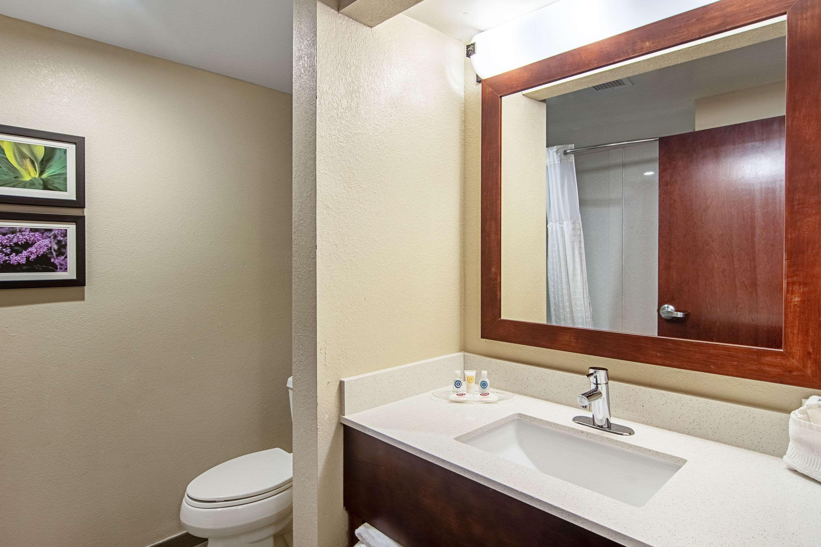 Comfort Suites Knoxville Airport Alcoa Dış mekan fotoğraf